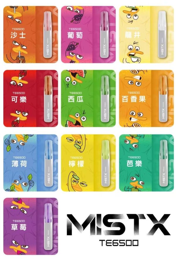 鴨嘴獸一次式6500口❤️便宜好用獨特造型